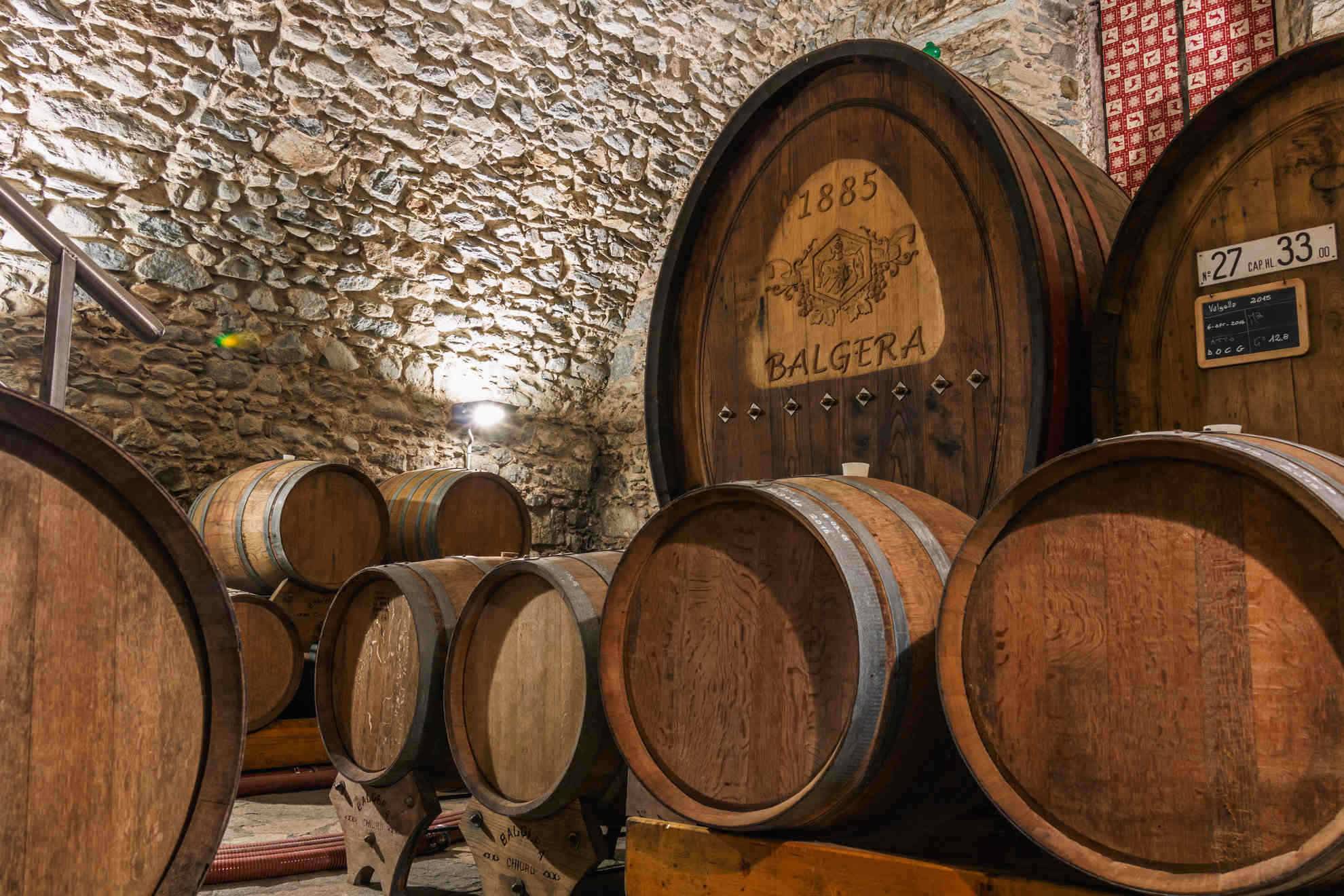 Wine ageing in Slavonian oak barrels