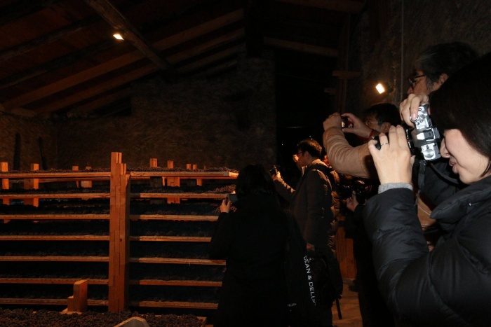 Visite alle cantine in Valtellina